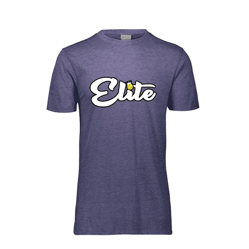 [3065-6310-RYL-AS-LOGO3] Men's Ultra-blend T-Shirt (Adult S, Royal, Logo 3)