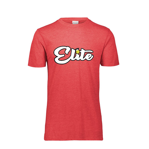 [FTSCUBRD-AS-LOGO3] Decker Men's Tri-Blend T-Shirt - Short Sleeve (Adult S, Red, Logo 3)